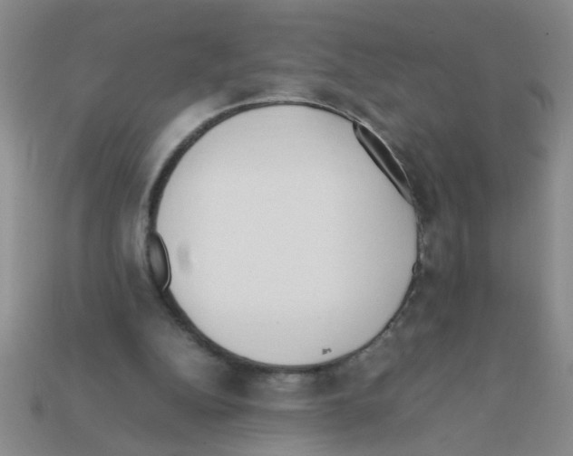 X0000111950152200909071326