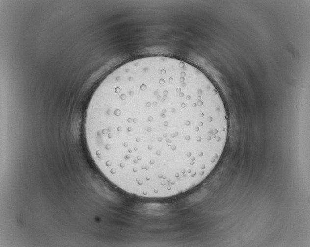 X0000111950153200909071326