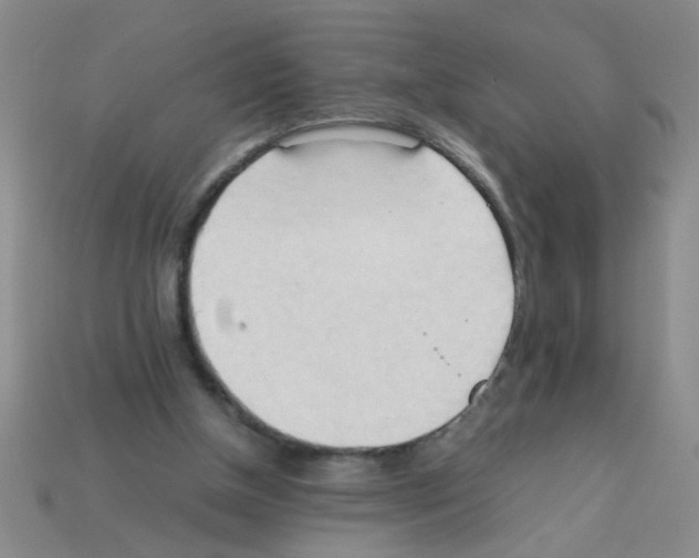 X0000111950154200909071326