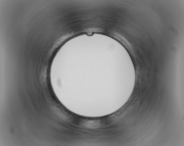 X0000111950155200909071326