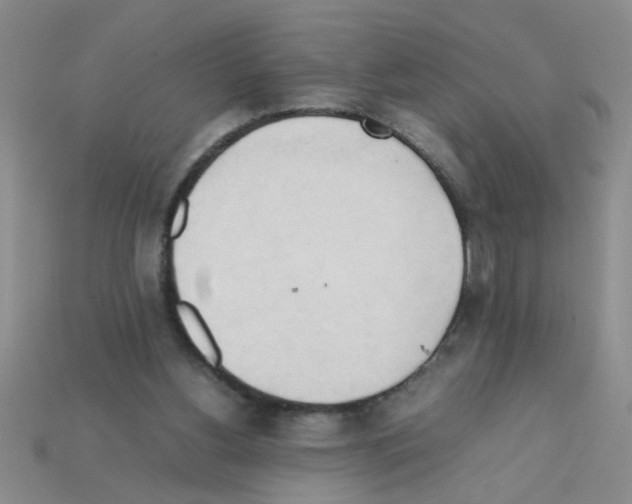 X0000111950156200909071327