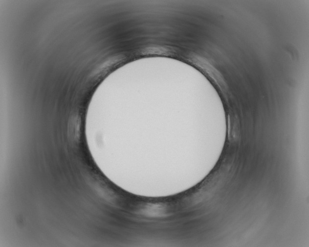 X0000111950157200909071327