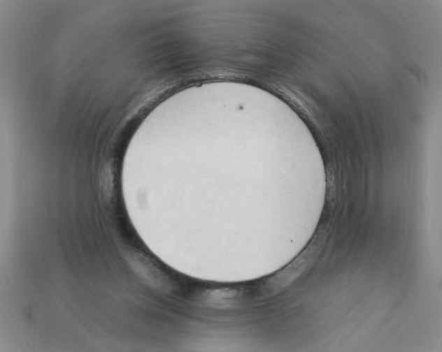 X0000111950158200909071327