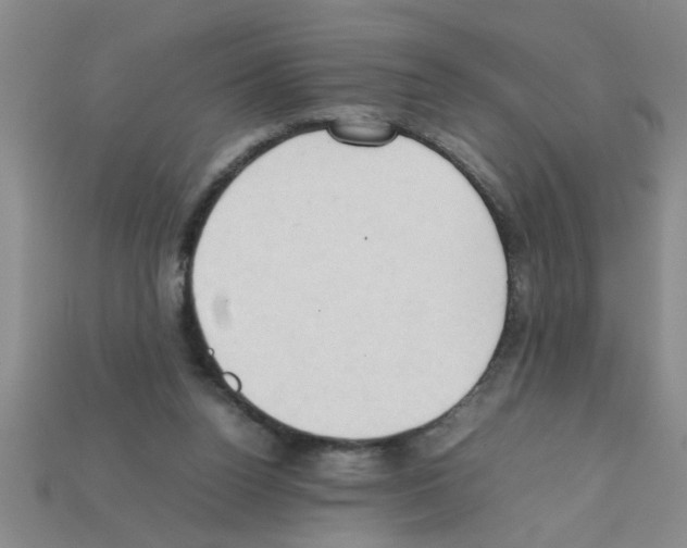 X0000111950160200909071327