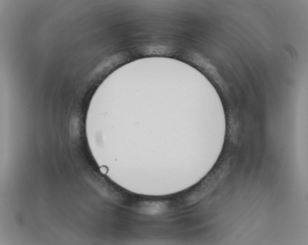 X0000111950161200909071327