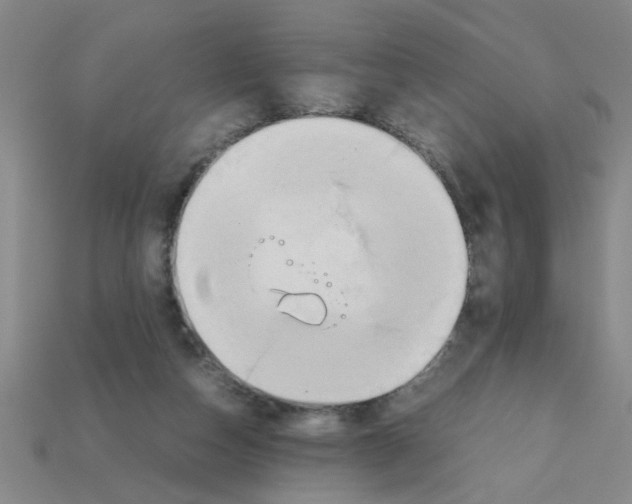 X0000111950162200909071327