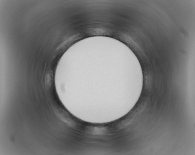 X0000111950165200909071327