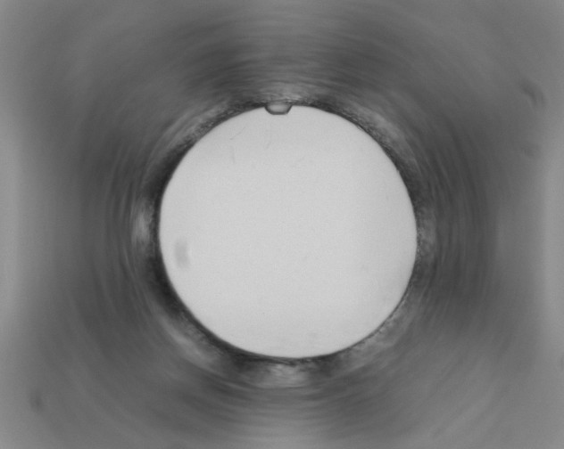 X0000111950166200909071327