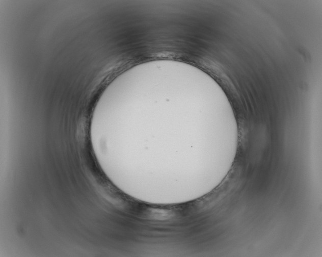 X0000111950167200909071327