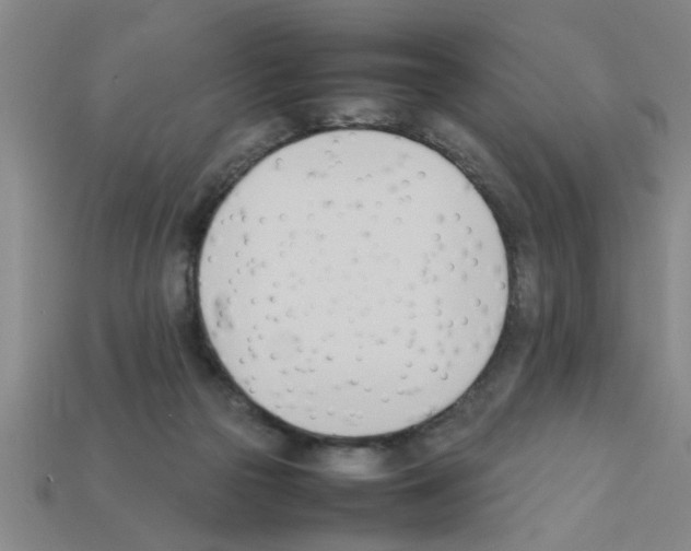 X0000111950169200909071327