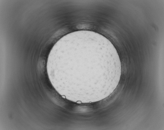 X0000111950171200909071327