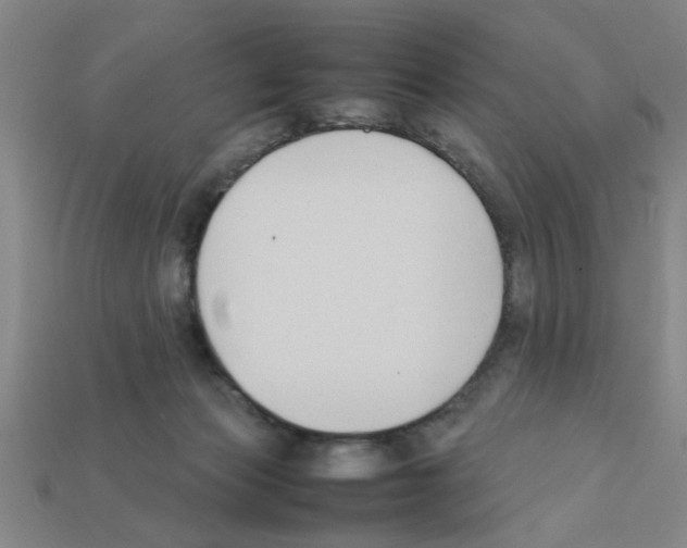 X0000111950173200909071327