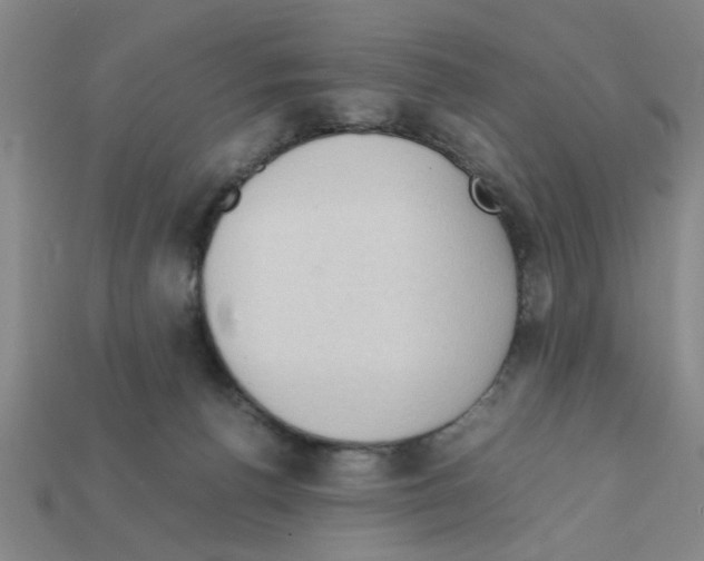 X0000111950176200909071327