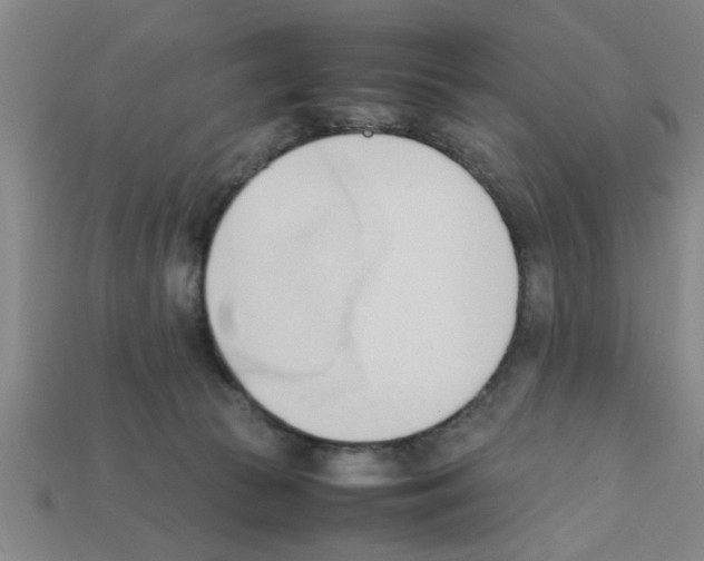 X0000111950177200909071327
