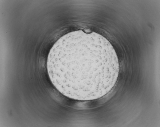 X0000111950178200909071327