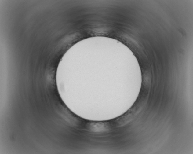 X0000111950181200909071327