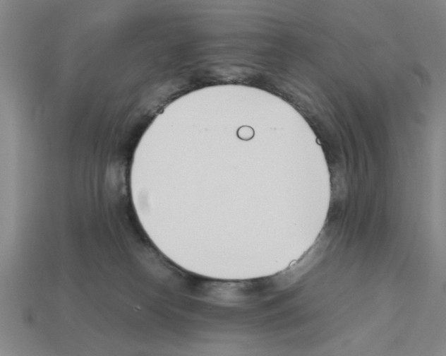 X0000111950182200909071327