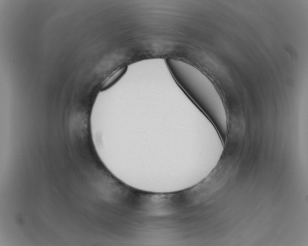 X0000111950184200909071327