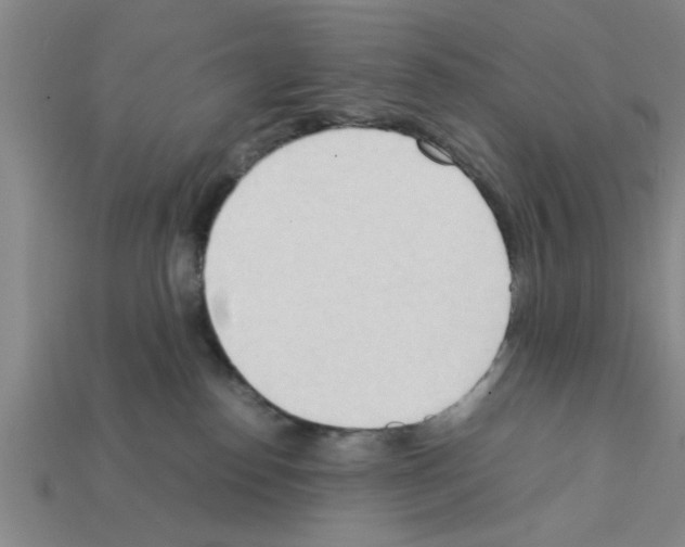 X0000111950186200909071327