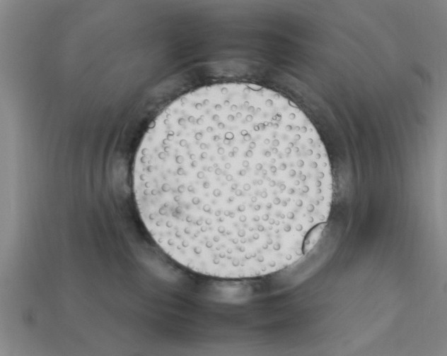 X0000111950187200909071327
