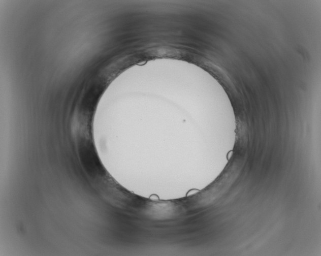X0000111950189200909071327