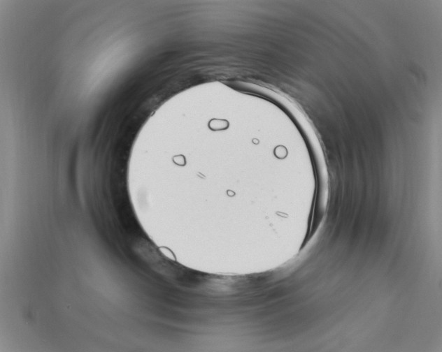 X0000111950190200909071327
