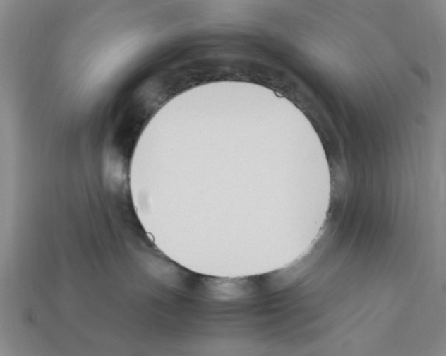 X0000111950191200909071327