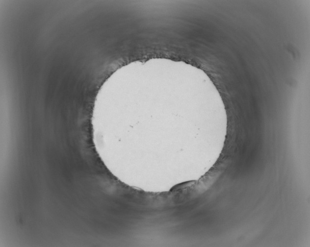 X0000111950192200909071327