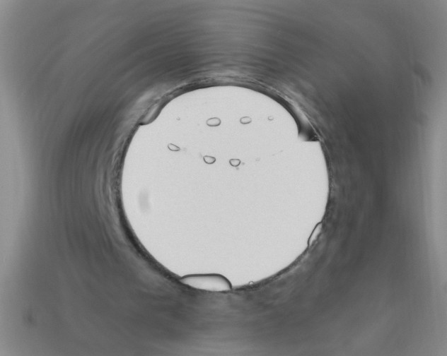 X0000111950193200909071326