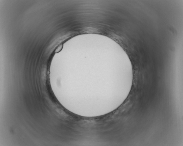 X0000111950194200909071326