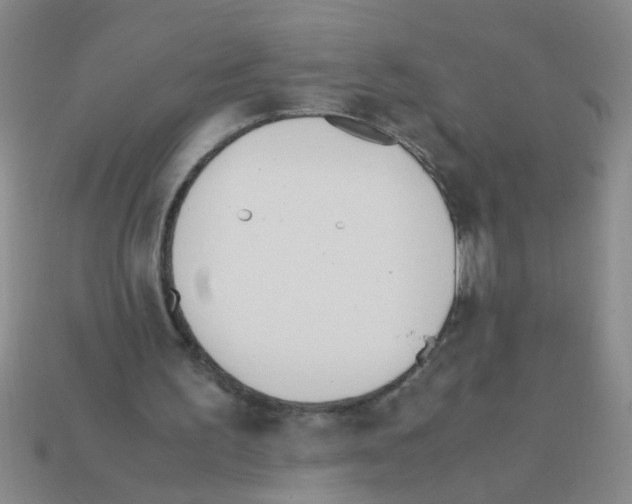 X0000111950195200909071326