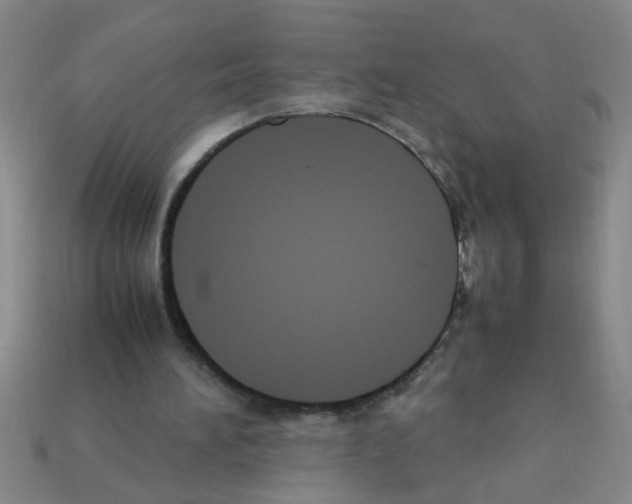 X0000111950196200909071326