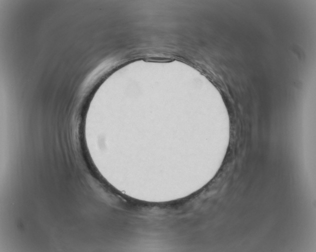 X0000111950197200909071326
