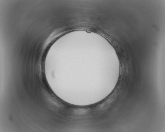 X0000111950198200909071326