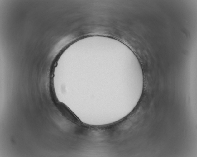 X0000111950199200909071326