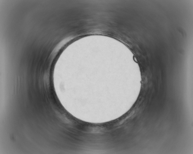 X0000111950200200909071326