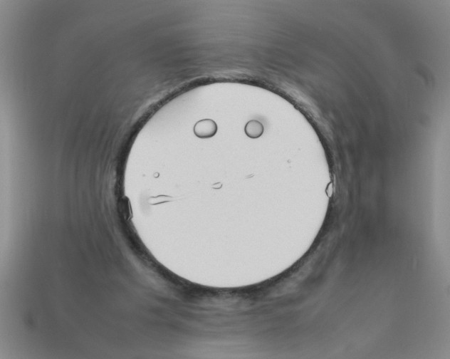 X0000111950201200909071326