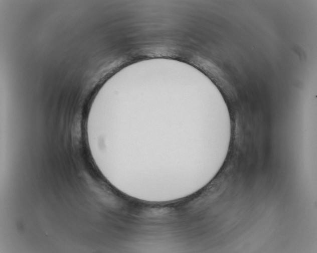 X0000111950202200909071326