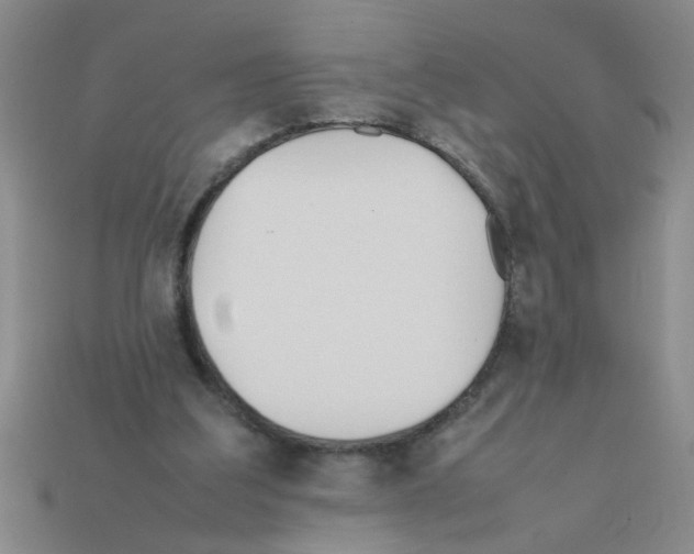 X0000111950203200909071326