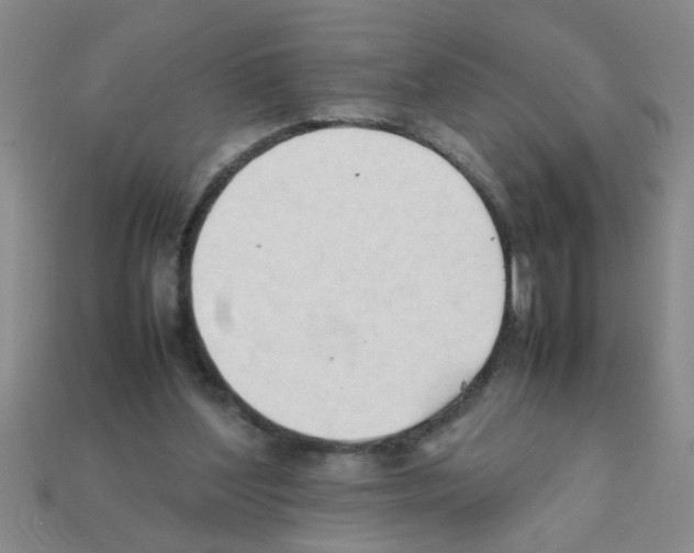 X0000111950204200909071326