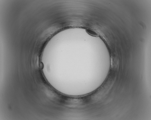 X0000111950205200909071326