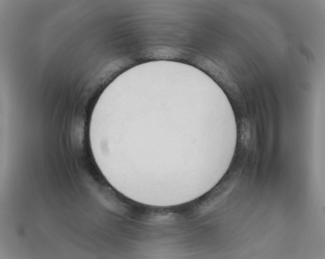 X0000111950206200909071326