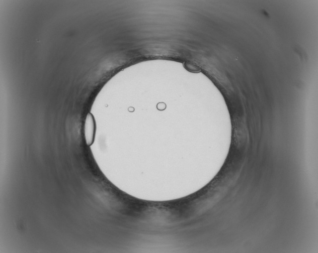 X0000111950207200909071326