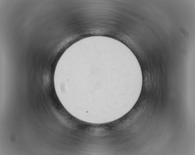 X0000111950208200909071326