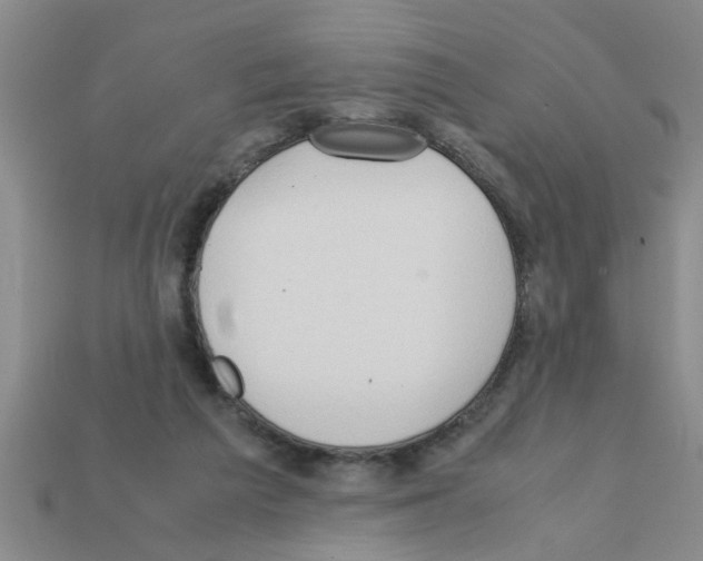 X0000111950209200909071326