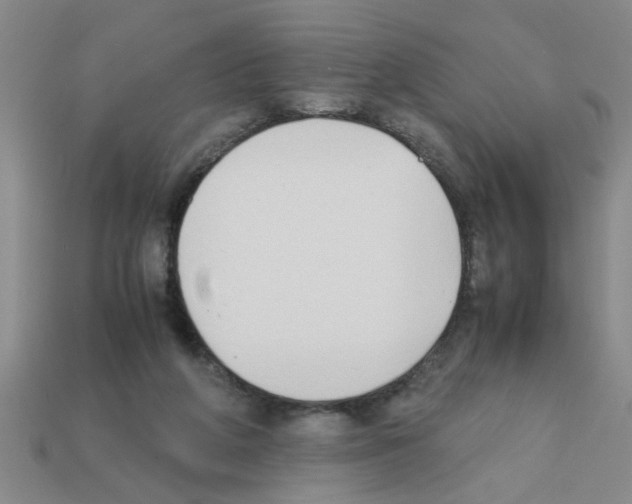 X0000111950210200909071326