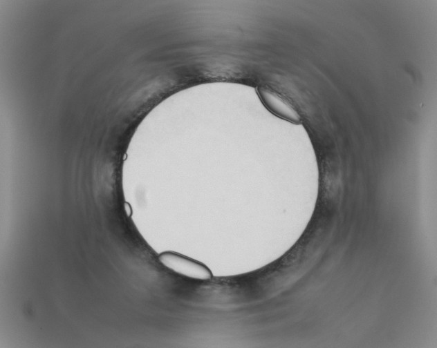 X0000111950211200909071326