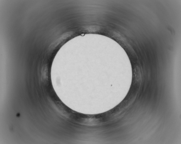 X0000111950212200909071326