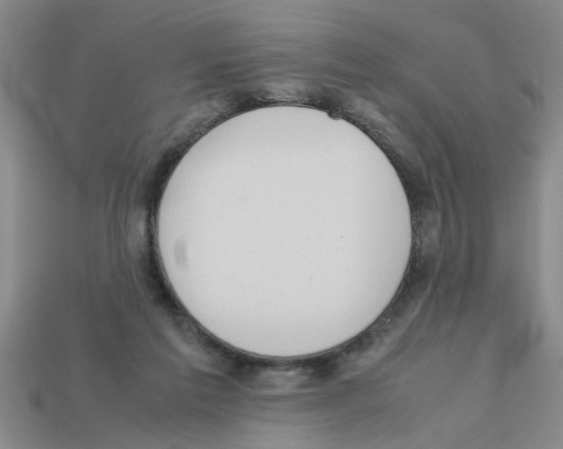 X0000111950213200909071326