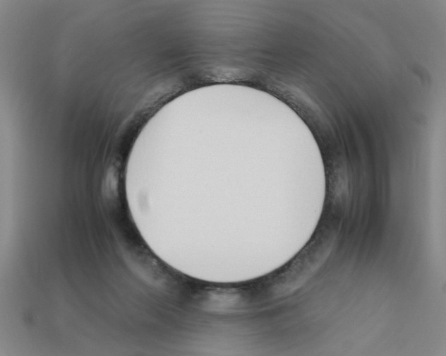 X0000111950214200909071326